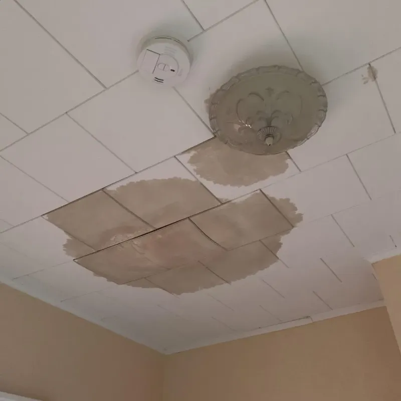 Ceiling Water Damage Repair in Locust Fork, AL