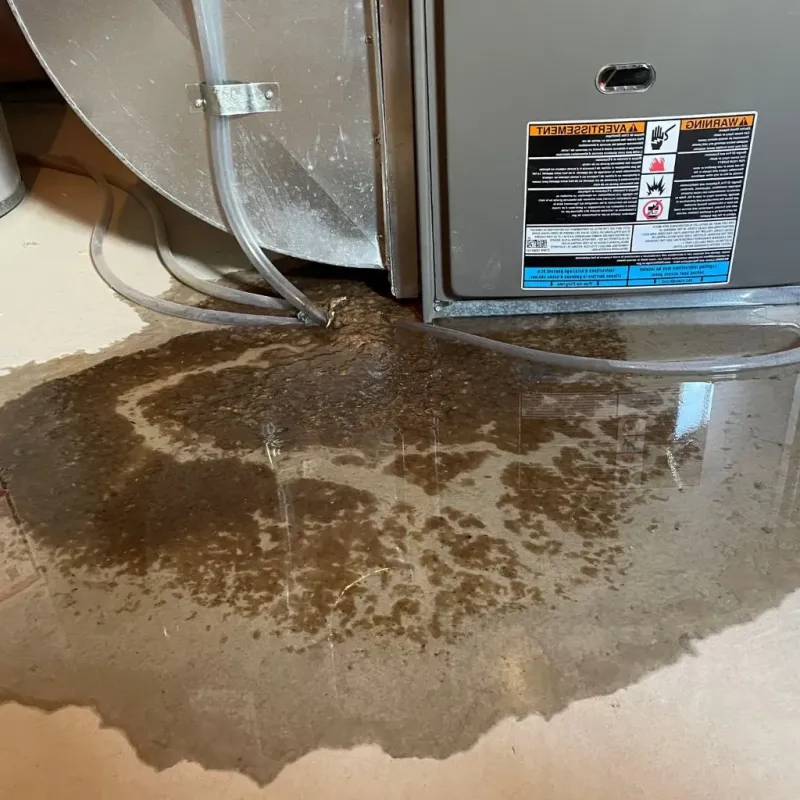 Pipe Burst and Leak Restoration in Locust Fork, AL