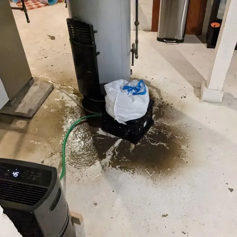 Sewage Backup Cleanup Service in Locust Fork, AL